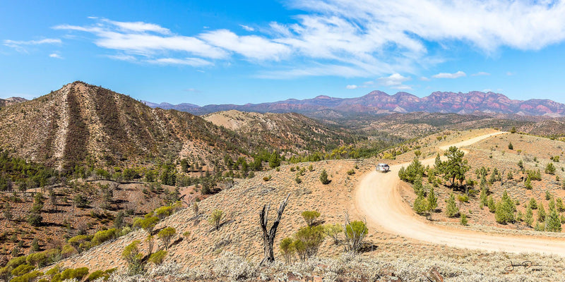 Road To Flinders (Panorama)