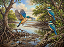 Sacred Kingfishers (Landscape)