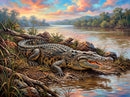 Crocodile on the River Bed (Landscape)