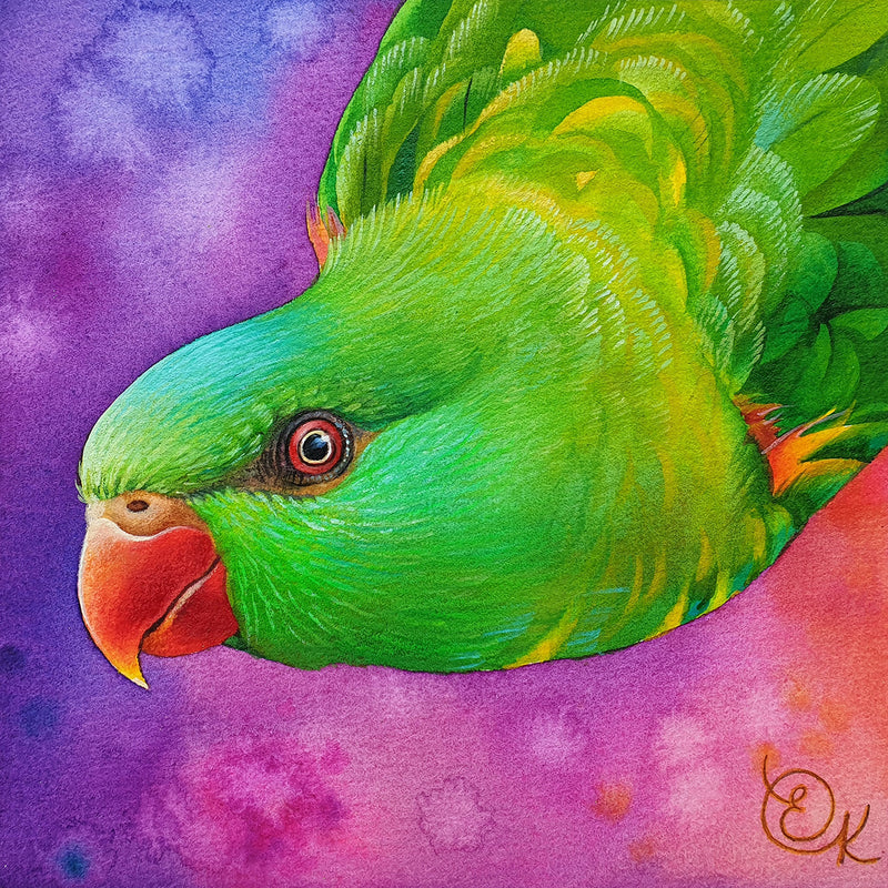 Scaly-breasted Lorikeet (Square) QPuzzles