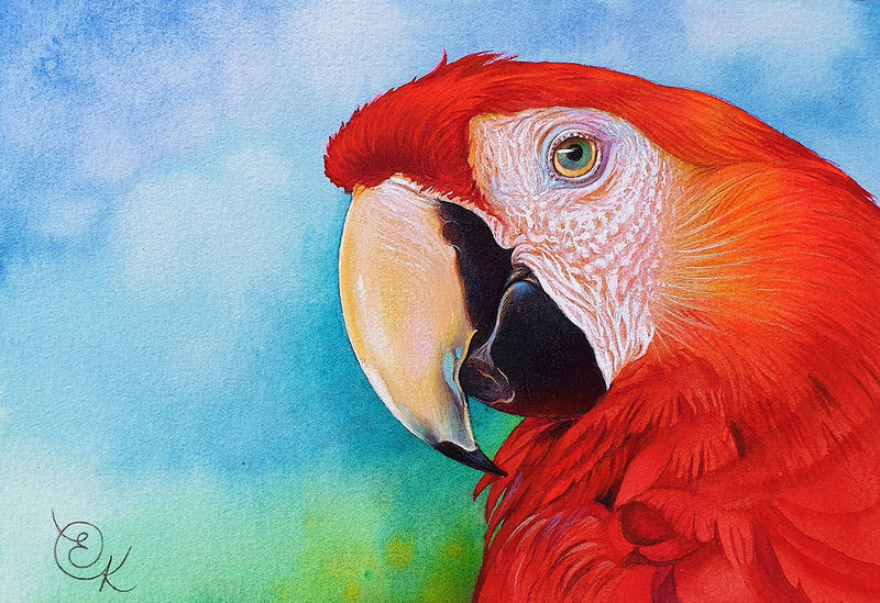 Scarlet Macaw (Landscape) QPuzzles