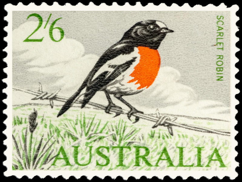 Scarlet Robin (Landscape) Jigsaw Puzzle by Artist QPuzzles and Manufactured by QPuzzles in Queensland