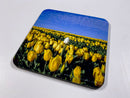 Eternal Seasons Coaster Collection (Set of 8)