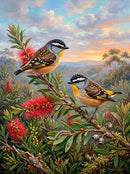 Spotted Pardalotes (Landscape)