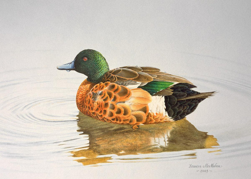Still Waters - Chestnut Teal (Landscape) Jigsaw Puzzle by Artist Frances McMahon and Manufactured by QPuzzles in Queensland
