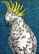 Sulfur Crested (Tray Puzzle) QPuzzles