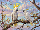 Sulphur Crested Cockatoos (Landscape)