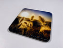 Awakening Sunrise Coaster Collection (Set of 8)