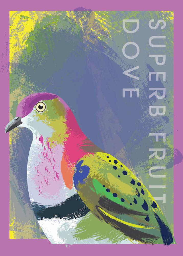 Superb Fruit Dove (Portrait) - Puzzles Qld Pty Ltd