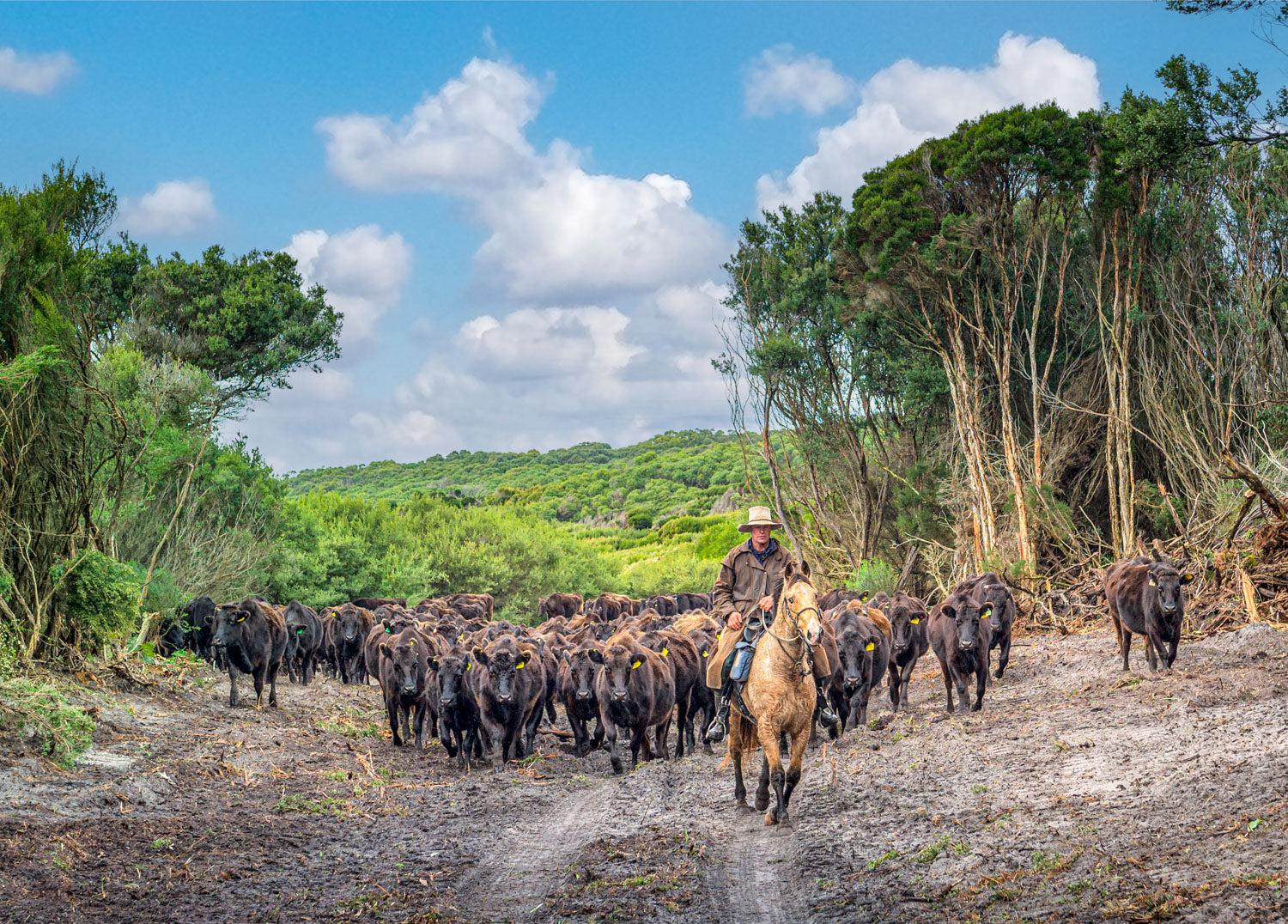Taking the Lead (Landscape) - Puzzles Qld Pty Ltd