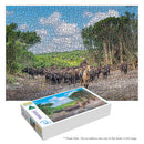 Taking the Lead (Landscape)