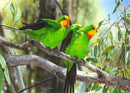 Teeming With Green-Superb Parrots (Landscape) Jigsaw Puzzle by Artist Frances McMahon and Manufactured by QPuzzles in Queensland