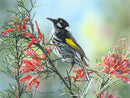 The Banquet - New Holland Honeyeater (Landscape) QPuzzles