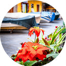 The Streets of Manarola (Round) Jigsaw Puzzle by Artist Jaime Dormer and Manufactured by QPuzzles in Queensland