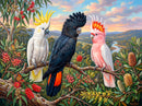 The Cockatoo Trio (Landscape)