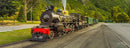 The Kingston Flyer (Panorama)