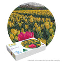 There is always One (Round)