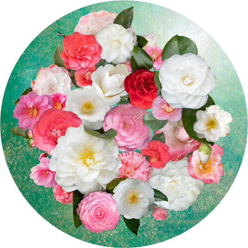 Thirty-Three Camelias (Round) Jigsaw Puzzle by Artist Vanessa Macaulay and Manufactured by QPuzzles in Queensland