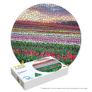 Tulip Rainbow at Sunrise (Round)