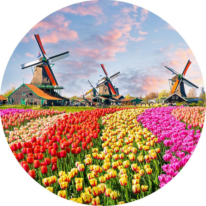 Tulips & Mills (Round) Jigsaw Puzzle by Artist QPuzzles and Manufactured by QPuzzles in Queensland
