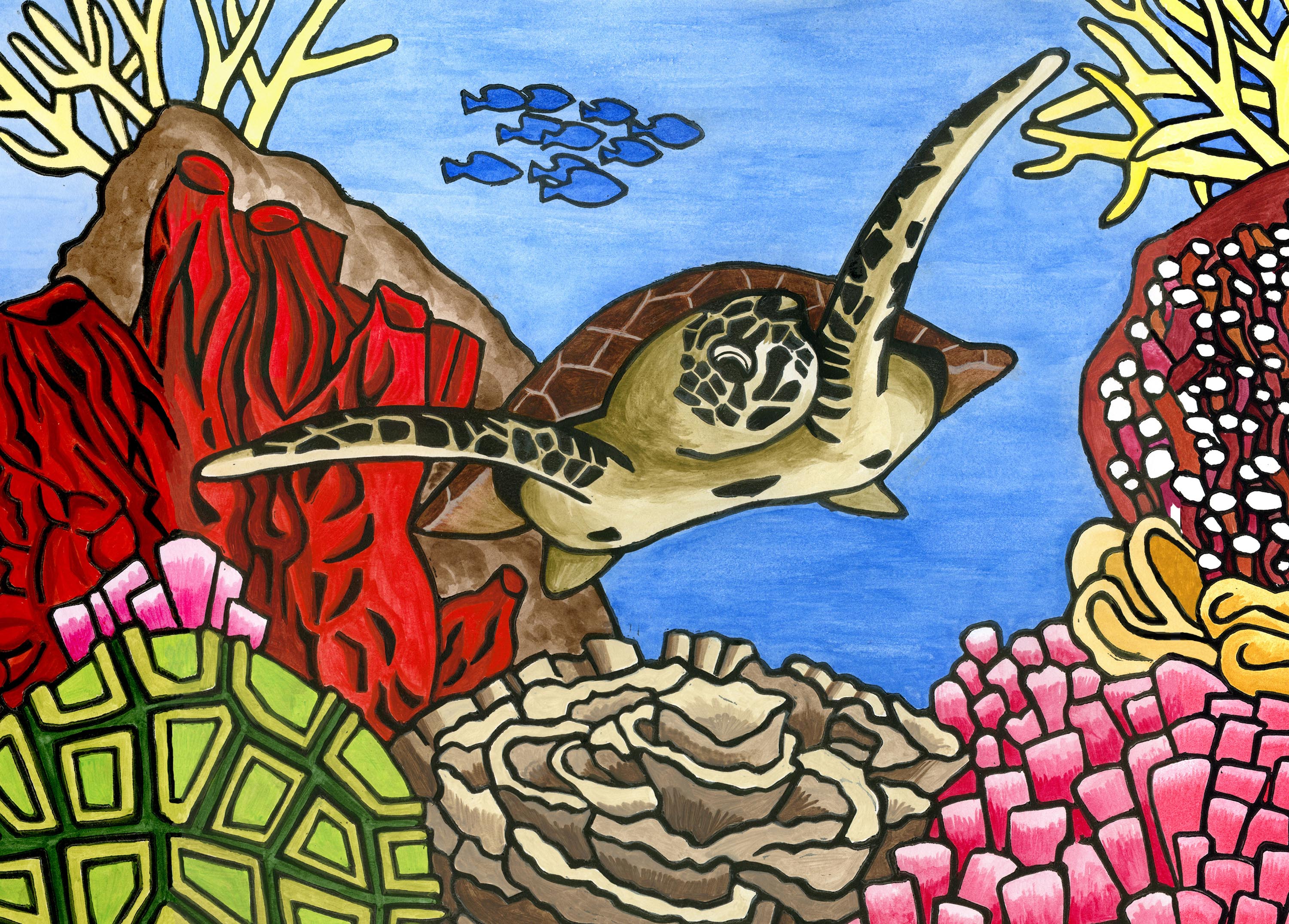Turtle Jigsaw Puzzle (Landscape) - Puzzles Qld Pty Ltd