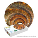 Vatican Spiral Staircase (Round)