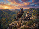 Wedge Tailed Eagles (Landscape)