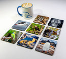 Wildlife Majesty Coaster Collection