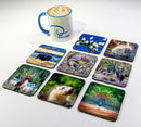 Wildlife Majesty Coaster Collection