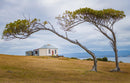 Windy Hill (Landscape) Jigsaw Puzzle by Artist James Dormer and Manufactured by QPuzzles in Queensland