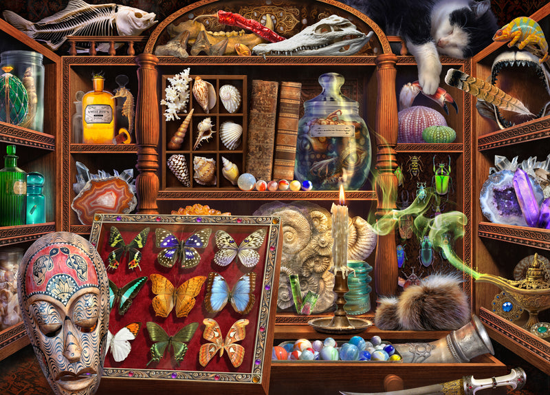 Wonder Cabinet (Landscape)