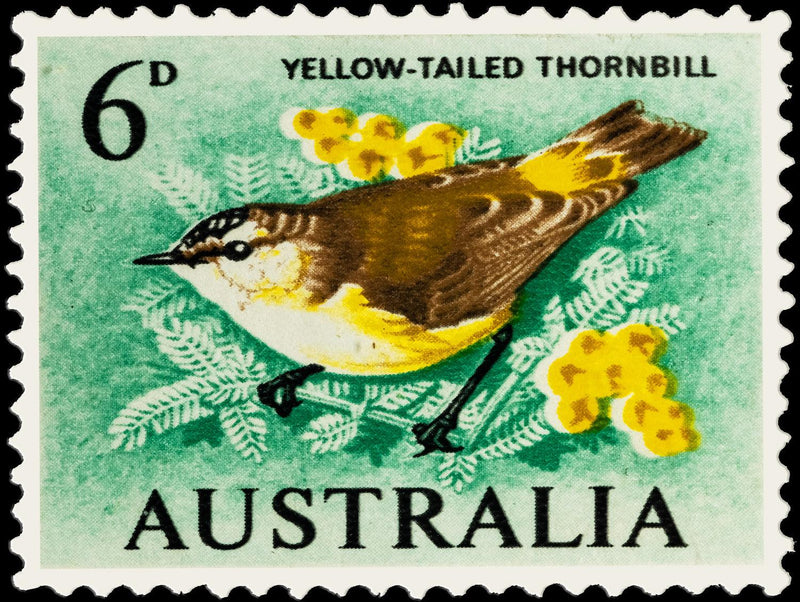 Yellow Tailed Thornbill (Landscape) Jigsaw Puzzle by Artist QPuzzles and Manufactured by QPuzzles in Queensland