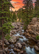 YellowstoneWilderness (Portrait)