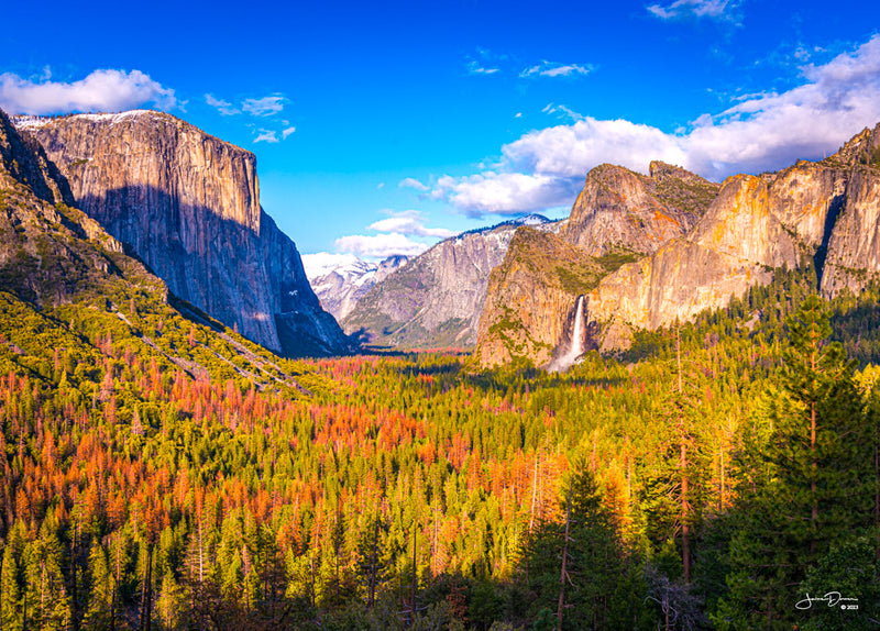 Yosemite Valley View (Landscape)