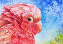 Young Galah (Landscape) QPuzzles